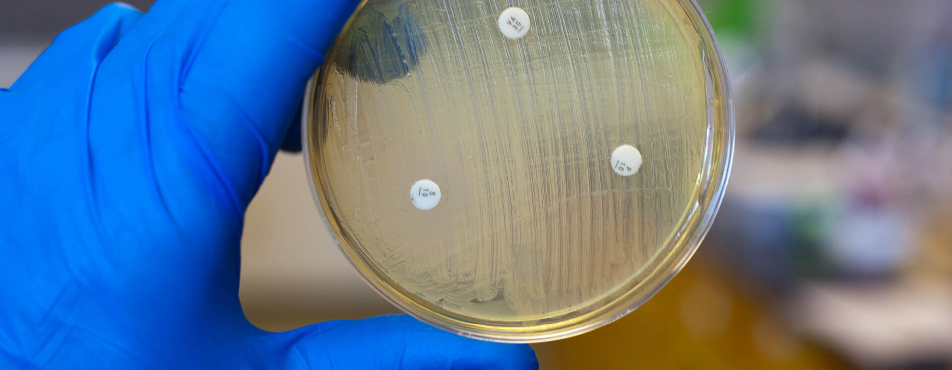 Microbiologia
